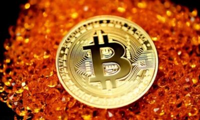 biitland.com crypto
