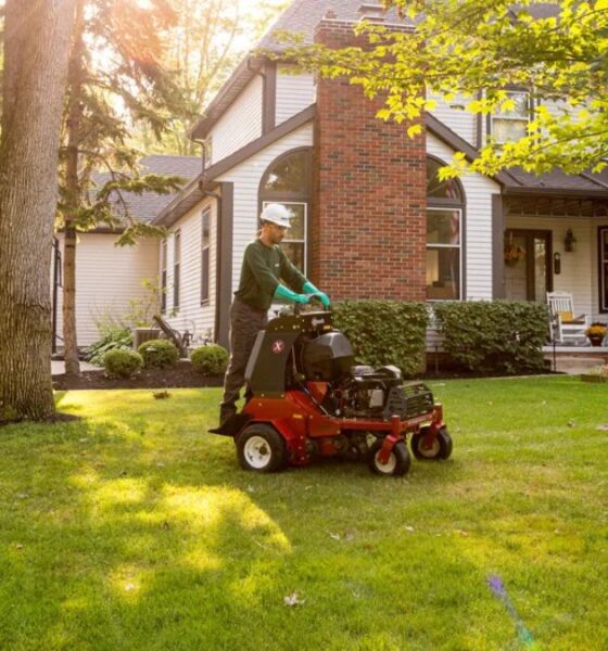 Yard Art Landscaping