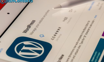 White Label WordPress Development Services for Agencies: A Smart Growth Strategy