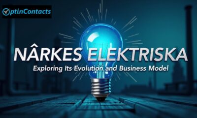 närkes elektriska