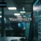 waxillgro279