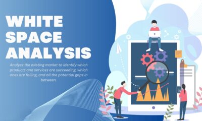 The Importance of Whitespace Analysis for Business Growth and Expansion